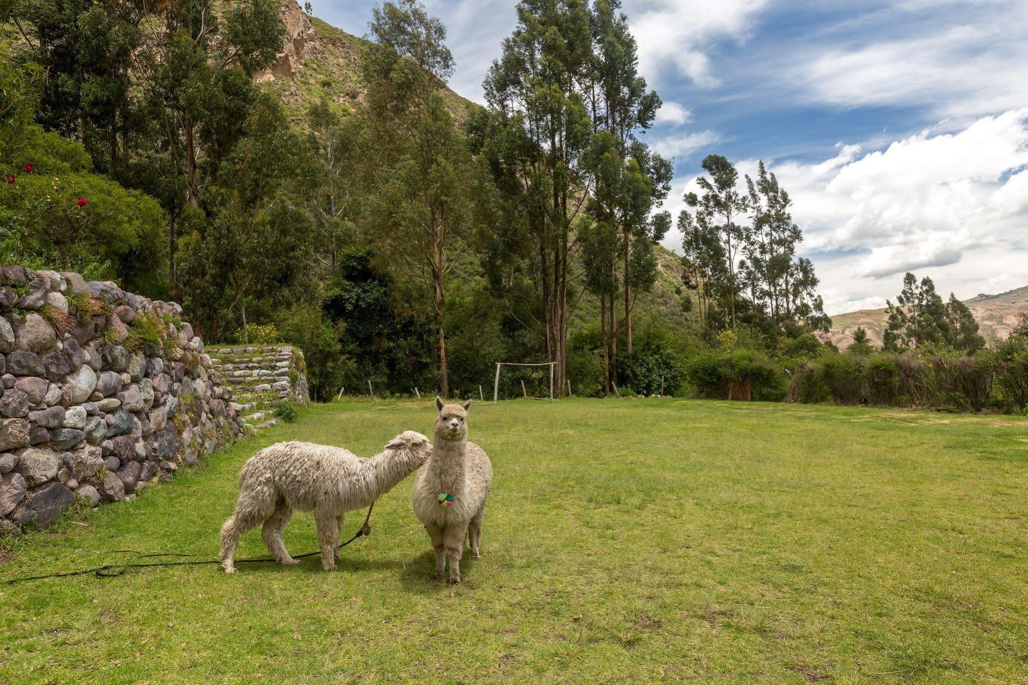 Hotel Hacienda Del Valle 우루밤바 외부 사진