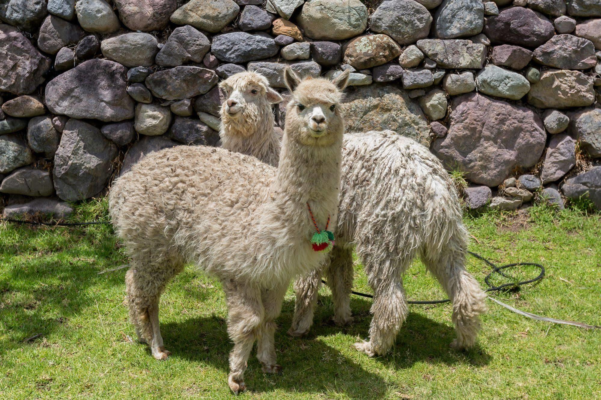 Hotel Hacienda Del Valle 우루밤바 외부 사진